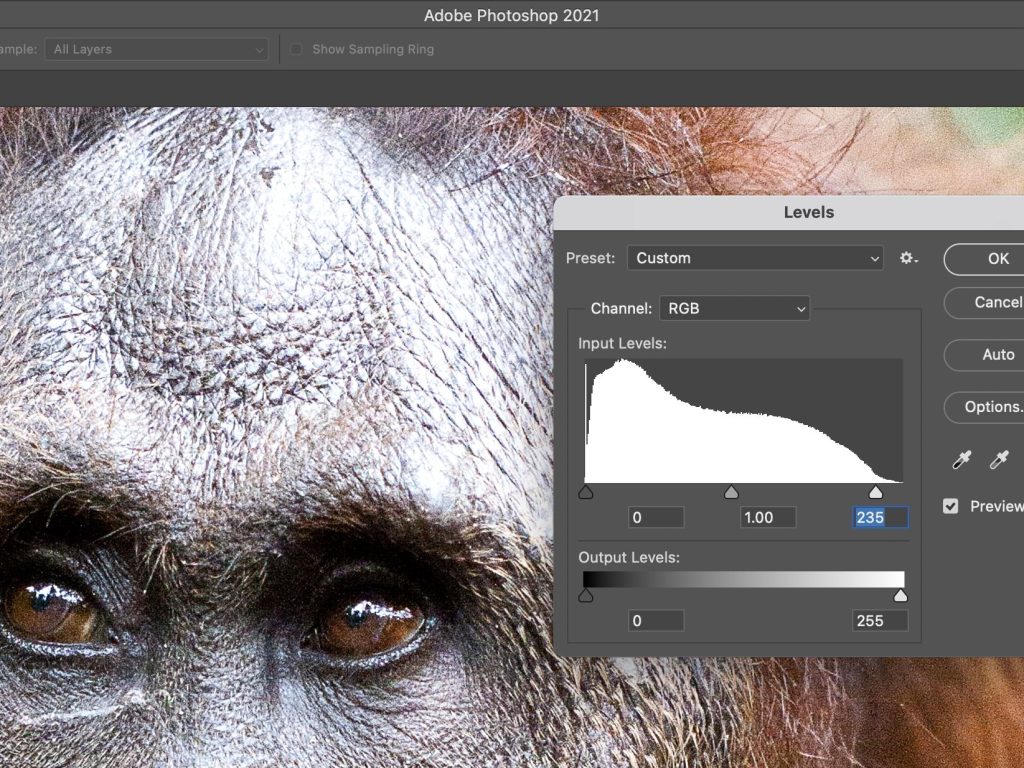 Download-Adobe-Photoshop-2021-iGetIntoPC